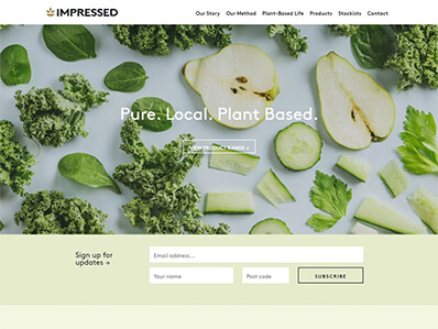 Custom Website Design Portfolio 1